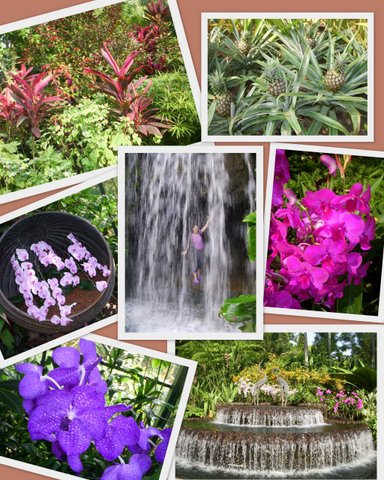 Singapur Botanik Bahçeleri